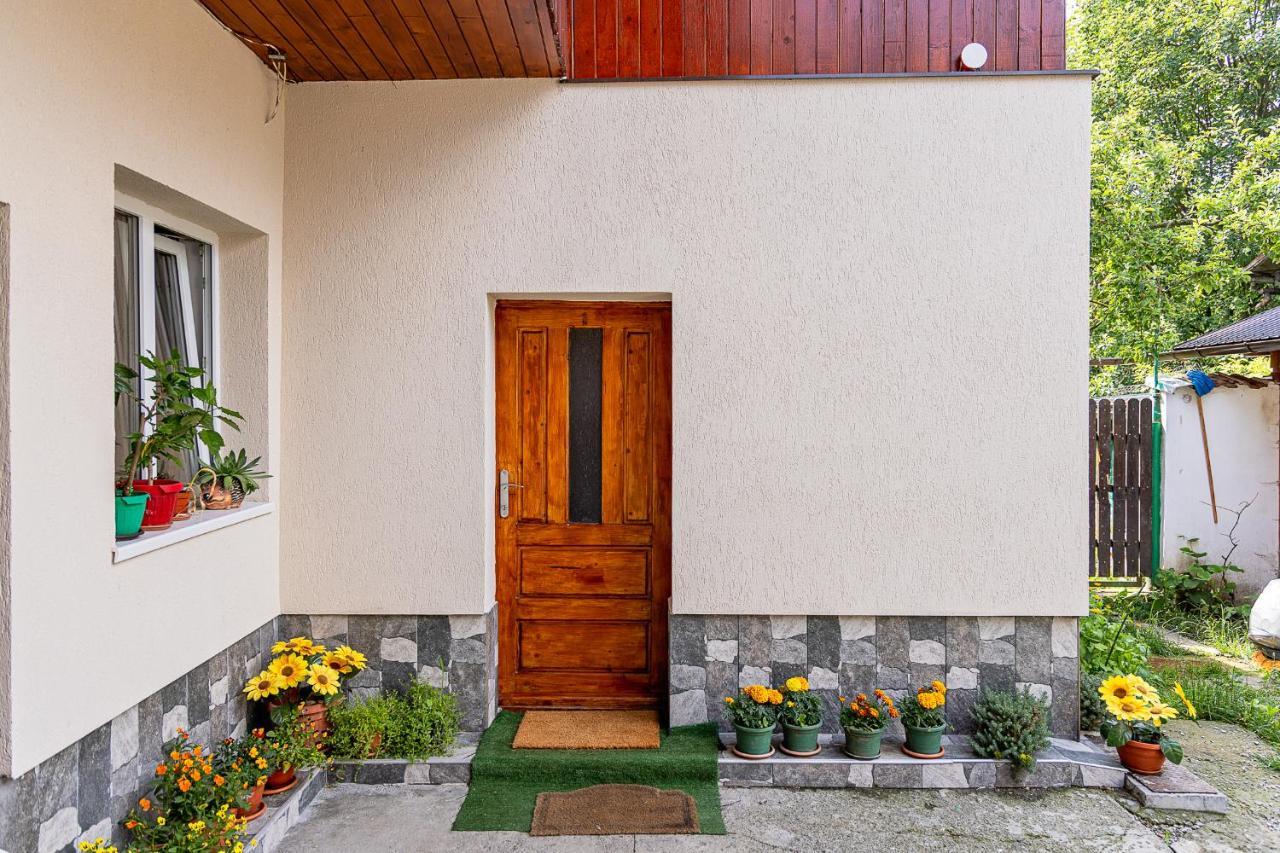 Pensiunea Montan Busteni Exterior photo