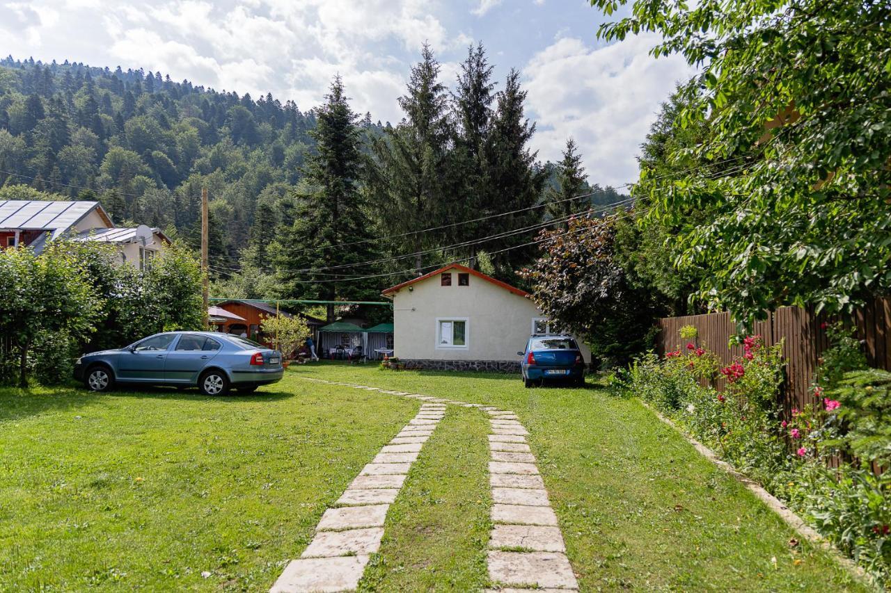 Pensiunea Montan Busteni Exterior photo
