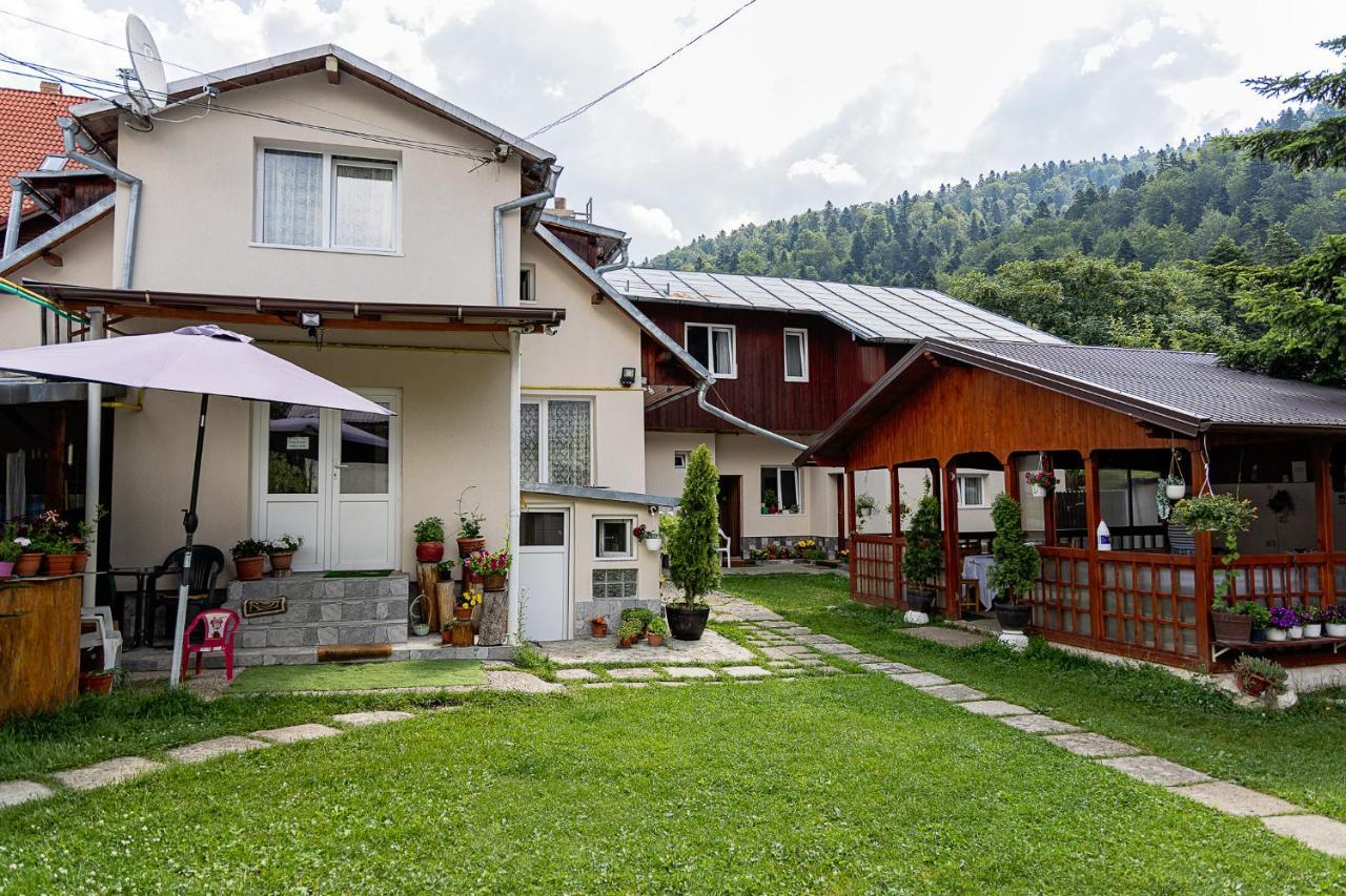 Pensiunea Montan Busteni Exterior photo