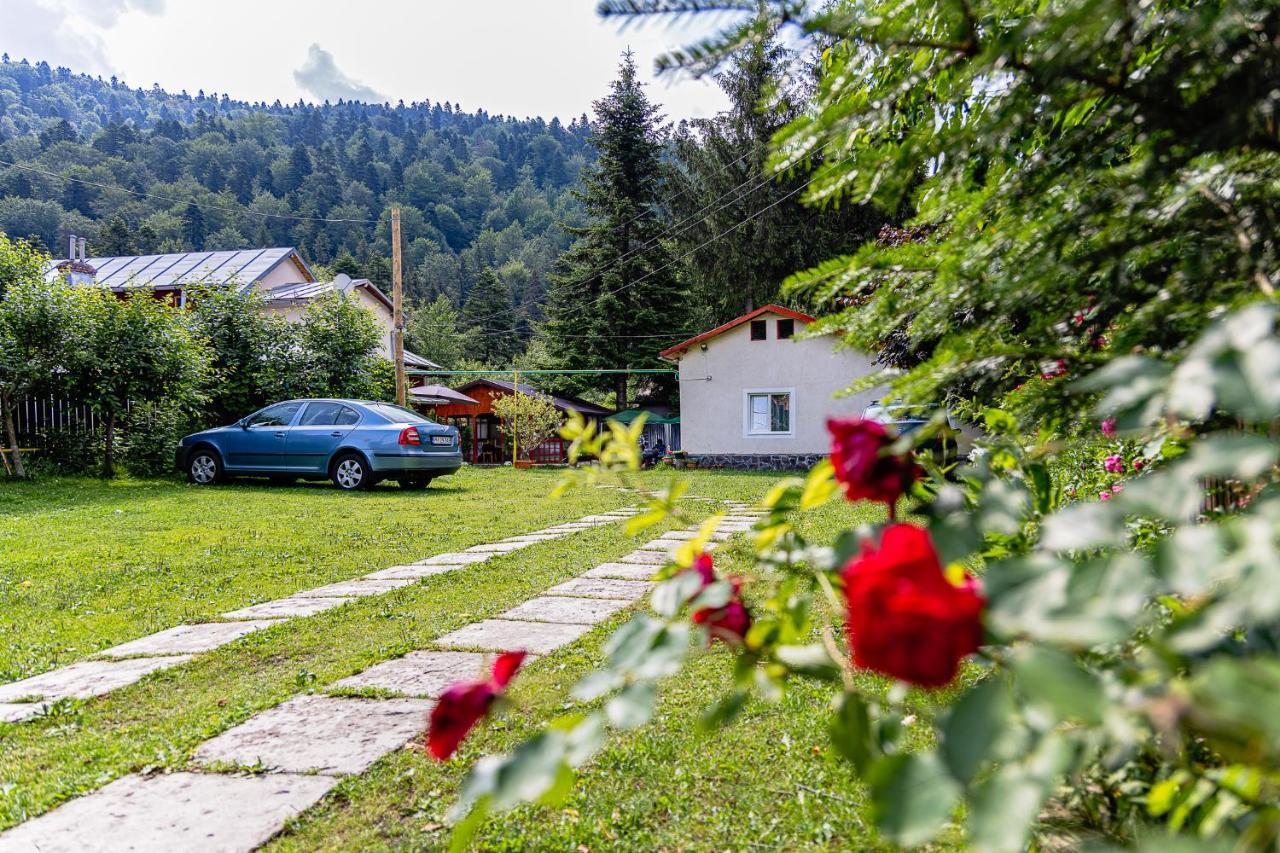 Pensiunea Montan Busteni Exterior photo